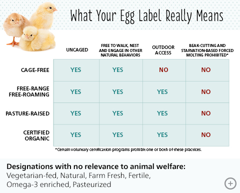 How to read an egg label